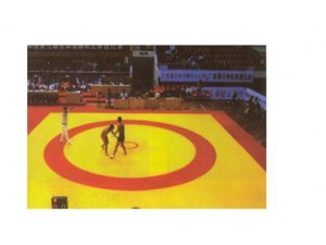 HS-2038 Wresting Mat   摔跤垫