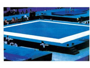 HS-2037 Gymnastics special carpet    体操专用地毯
