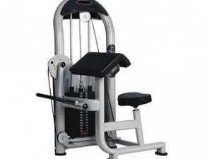 HS-1319 Biceps Curl Machine   二头肌训练器