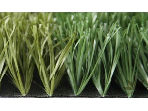 2D加茎人造草